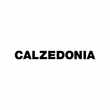 Cupom de Desconto Calzedonia