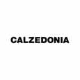 Calzedonia