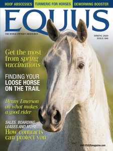 Equus