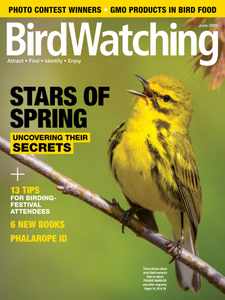 Birdwatching