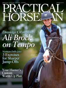 Practical Horseman