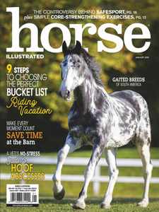 Horse Illustrated