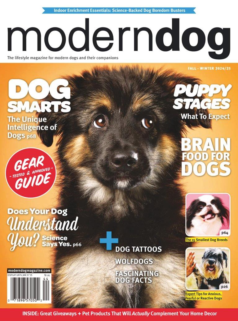 Modern Dog Magazine October 1st, 2024 Issue Cover