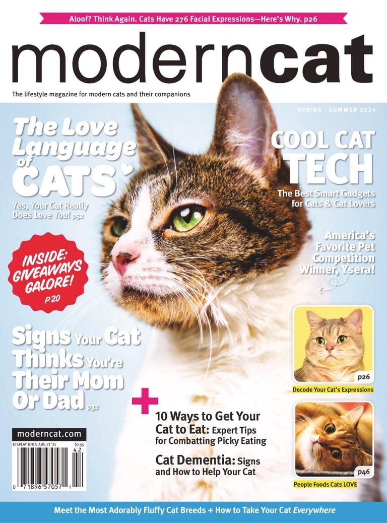 Modern Cat Magazine May 1st, 2024 Issue Cover