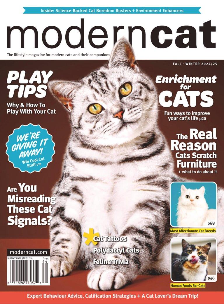 Modern Cat Magazine October 1st, 2024 Issue Cover