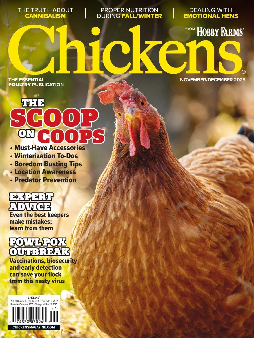 Chickens Magazine November 1st, 2025 Issue Cover