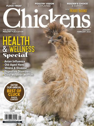 Chickens Magazine Cover