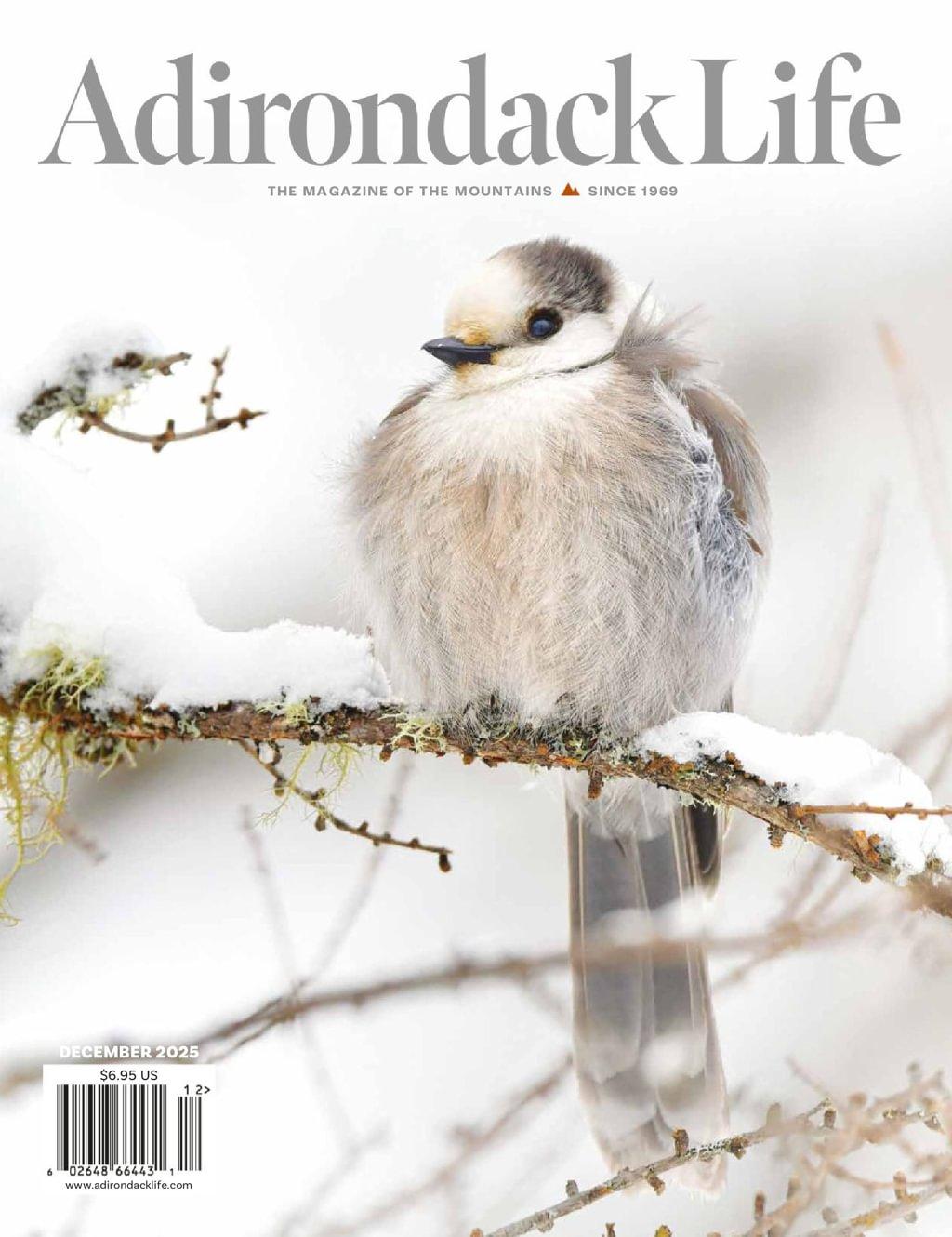 Adirondack Life Magazine Subscription                    November 1st, 2025 Issue