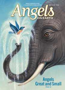 Angels on Earth