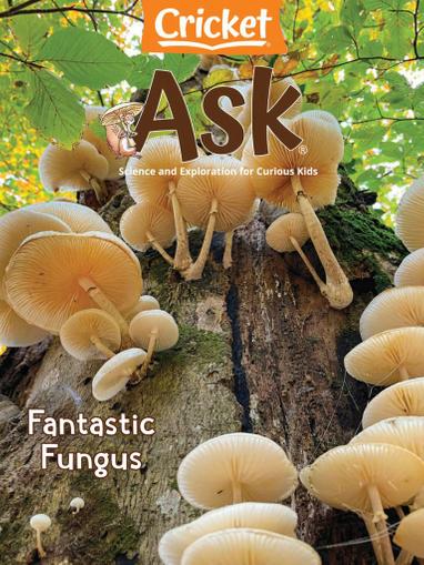Ask Magazine May 1st, 2022 Issue Cover