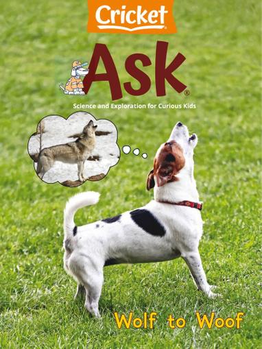 Ask Magazine February 1st, 2024 Issue Cover