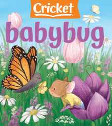 Babybug