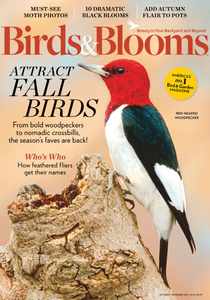 Birds & Blooms