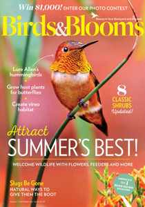 Birds & Blooms