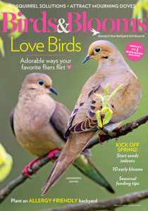 Birds & Blooms