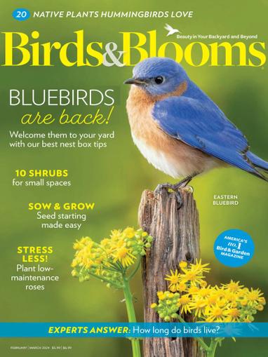 Birds & Blooms Magazine February 1st, 2024 Issue Cover