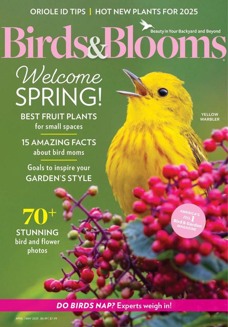 Birds & Blooms Magazine Subscription                    April 1st, 2025 Issue