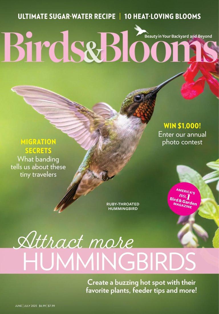 Birds & Blooms Magazine June 1st, 2025 Issue Cover