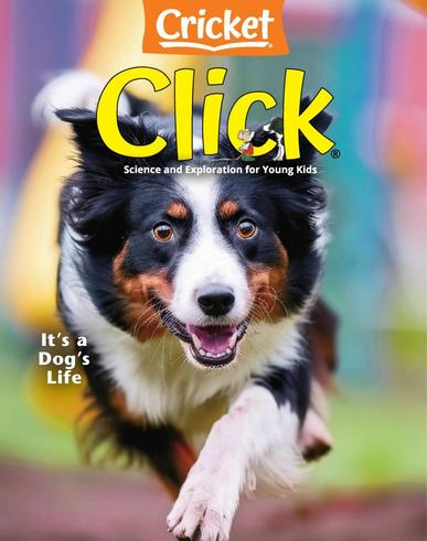 Click Double Click Magazine Click Magazine Subscription Discount - MagZoom.com