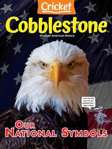 Cobblestone