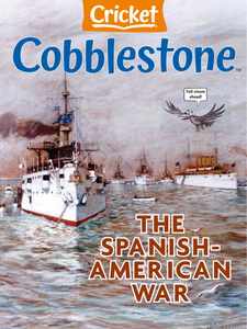 Cobblestone