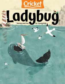 Ladybug