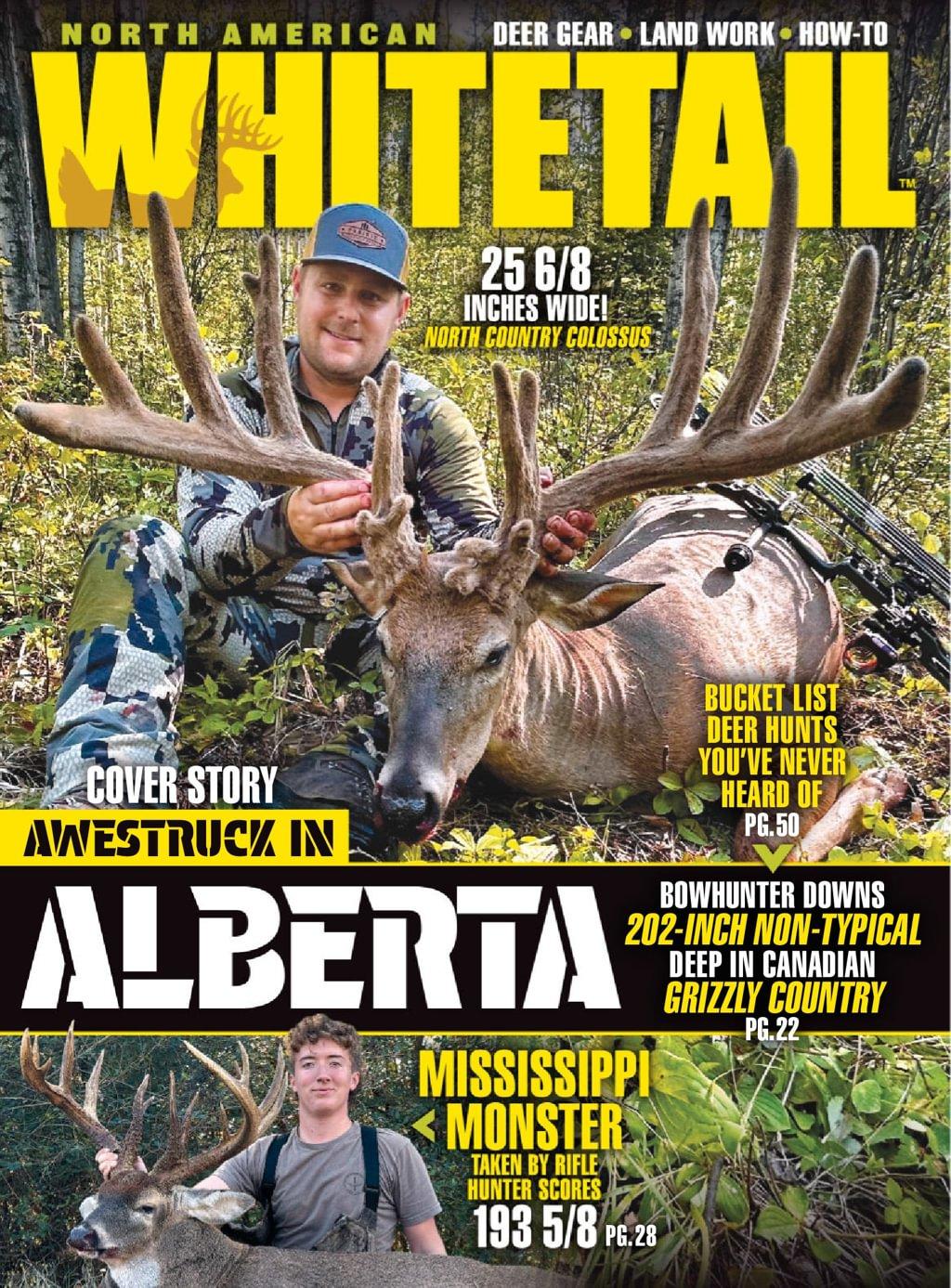 North American Whitetail