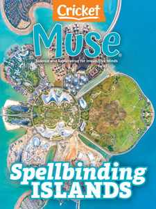 Muse