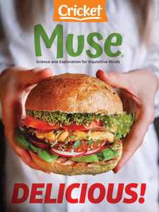 Muse