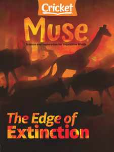Muse