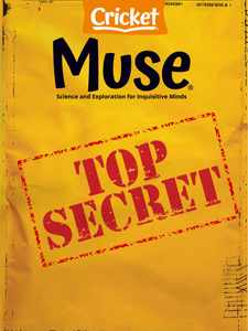 Muse