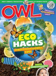 Owl