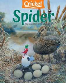 Spider