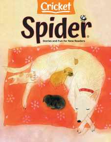 Spider