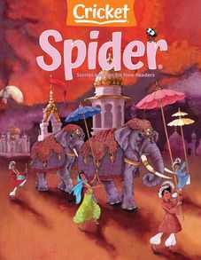 Spider