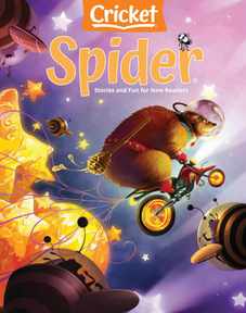 Spider