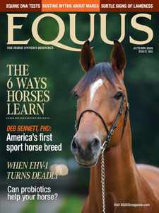 Equus