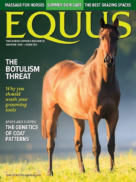 Equus