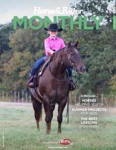 Horse & Rider