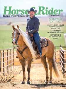 Horse & Rider