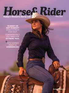 Horse & Rider