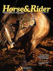 Horse & Rider