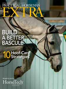 Practical Horseman