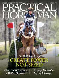 Practical Horseman