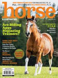Horse Illustrated