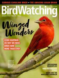Birdwatching