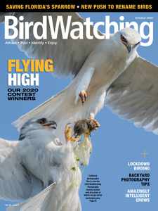 Birdwatching
