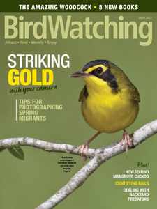 Birdwatching