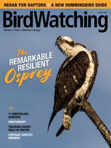 Birdwatching