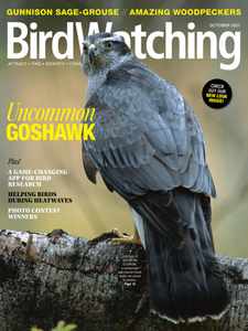 Birdwatching